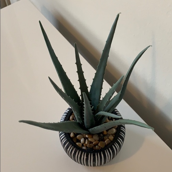 Faux succulant home decor - Picture 2 of 3